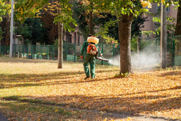 Best Termite Control Services  in Parker, SC