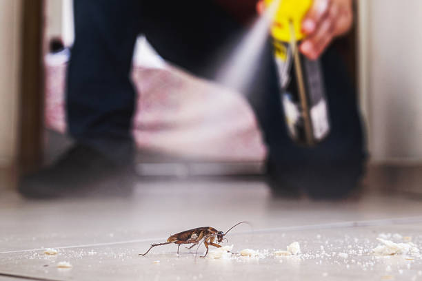 Pest Control for Restaurants in Parker, SC